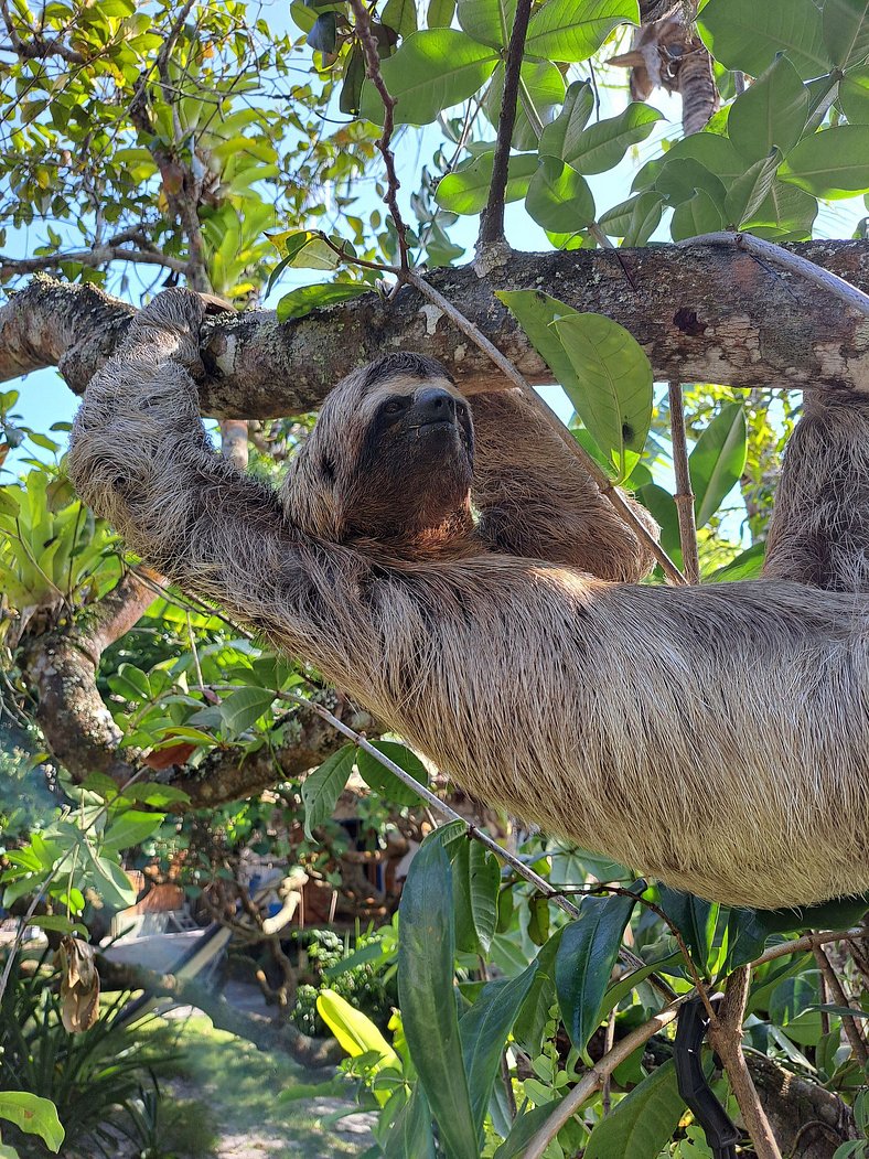 Graciosa casa com cozinha para 4 e lindo jardim